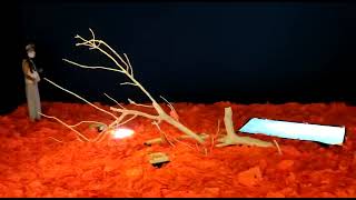 Art Appreciation- Still Life by Mars Bugaoan (Thirteen Artist Award 2021)