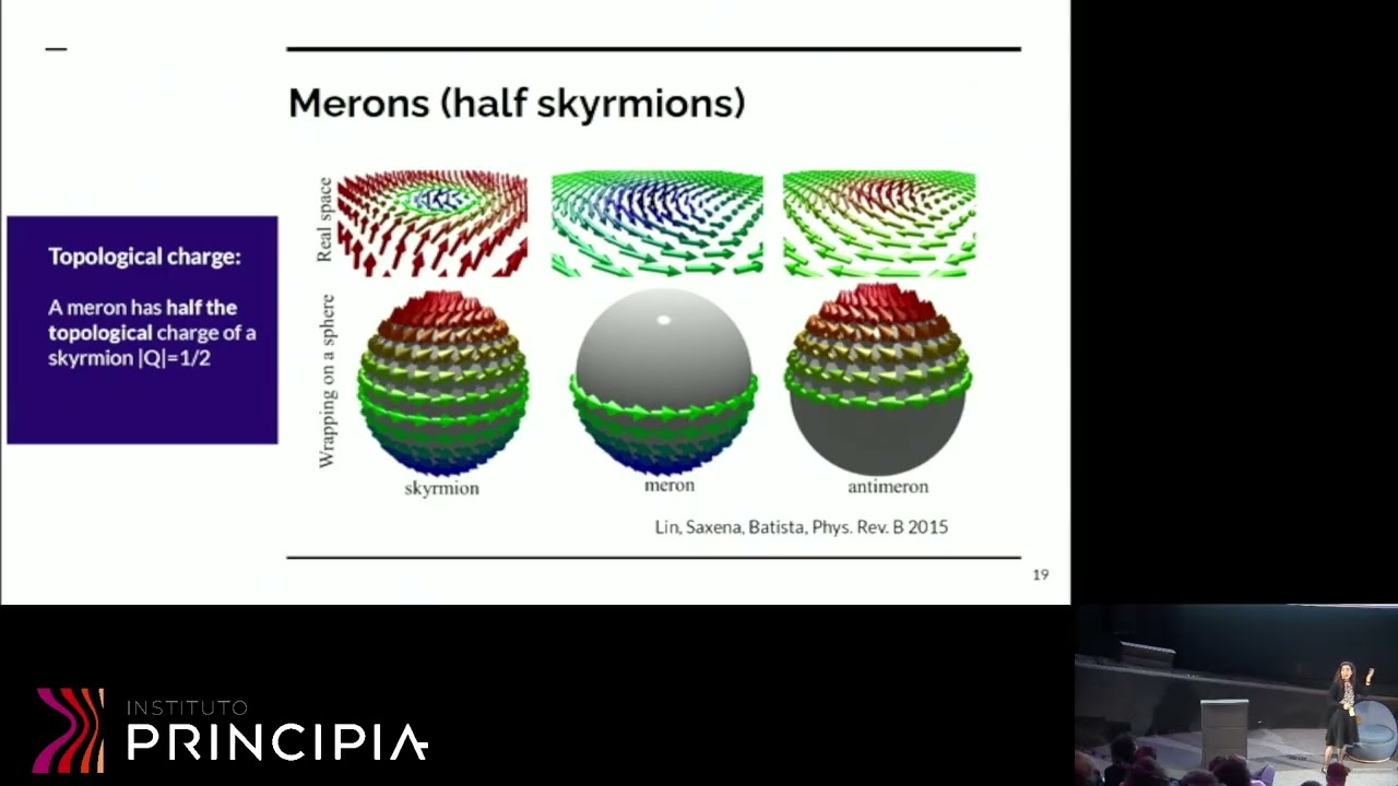 Flavia Albarrac ́ın: Skyrmions and merons in magnetic spin systems