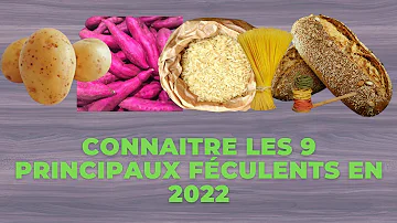 Quels légumes sont des féculents ?