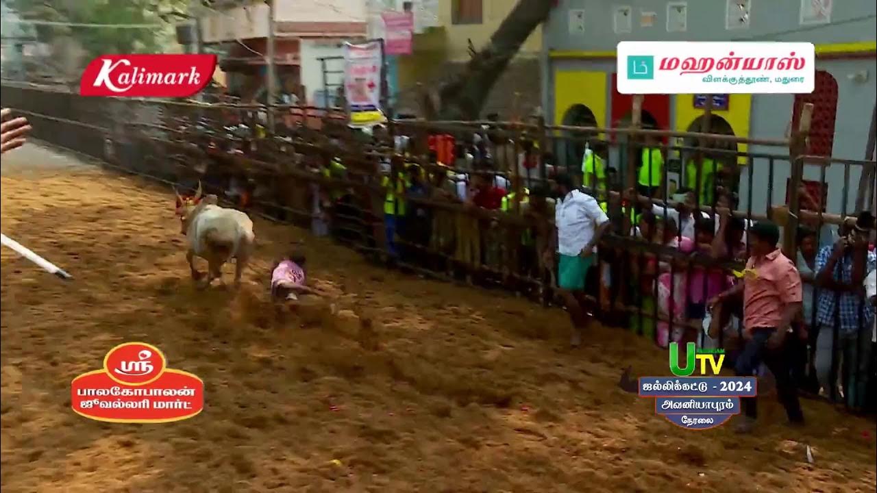 🔴Live Avaniyapuram Jallikattu 2024 அவனியாபுரம் ஜல்லிக்கட்டு நேரலை 🔴Live Avaniyapuram Jallikattu 2024 அவனியாபுரம் ஜல்லிக்கட்டு நேரலை