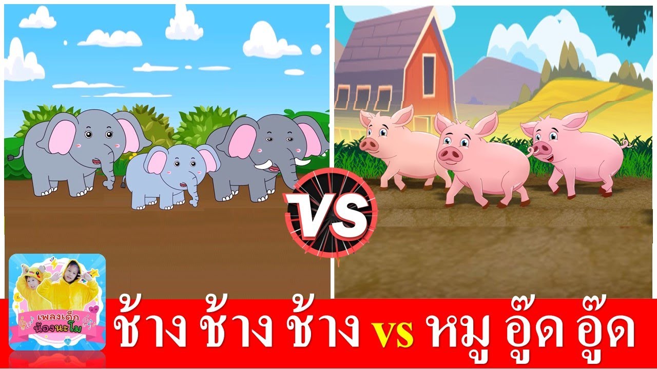 ช้าง ช้าง ช้าง vs หมู อู๊ด อู๊ด
