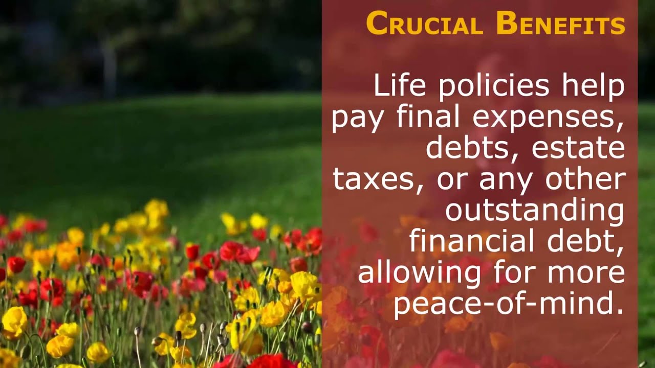 Life Insurance Maryland YouTube Life Insurance Maryland YouTube
