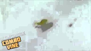 Combo Vine 566