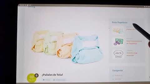 Pruebas de Funcionamiento Servidor Web Raspberry Pi 4 (Tablet Android)