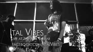 Ital Vibes - Mai Tai Bar