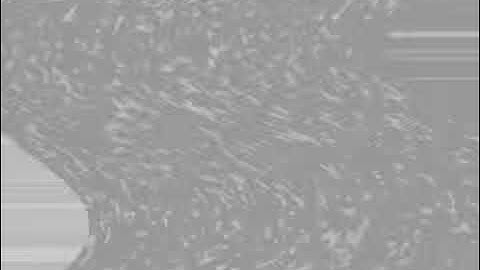 (REUPLOAD) 2 Klasky Csupos