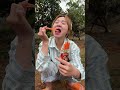 eat spicy candy #bushcraft #survival #shorts #camping