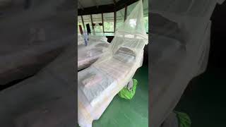 What it’s like living in the Amazon jungle