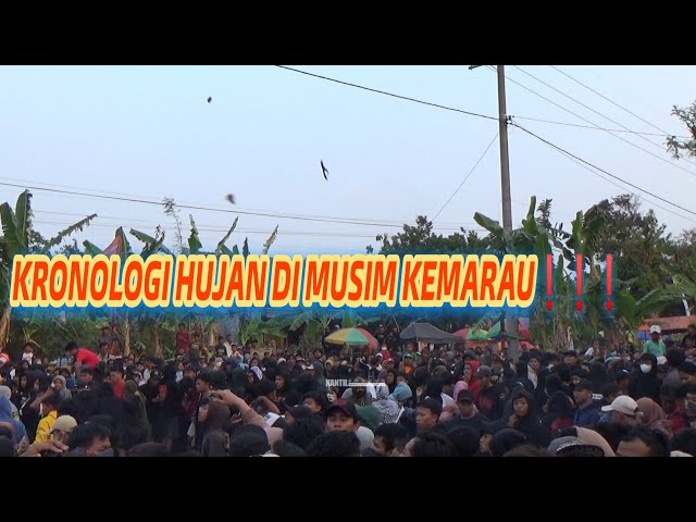 Detik-Detik Hujan Sandal❗ Mayangkoro Original live Mejoyo Gudo Jombang Dibubarkan ❗ class=