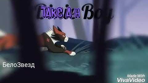 AMV Mapleshade [-Cats Warriors- {Take a hint}]