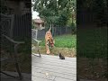 Mothers are the fiercest protectors!