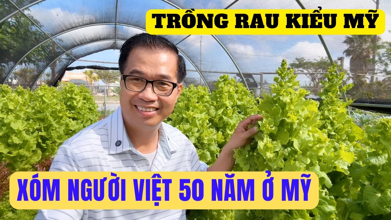 Trồng Rau Kiểu Mỹ Xóm Người Việt 50 Năm Ở Mỹ
