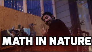 Math in Nature