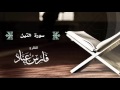 القارئ فارس عباد سورة التين 