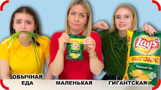 ОБЫЧНАЯ ЕДА Против ГИГАНТСКИХ и МИНИ Чипсов!!