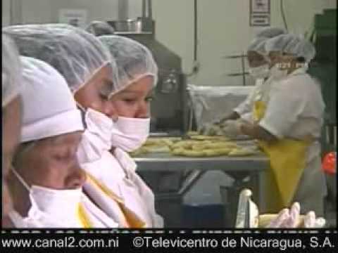 Sol Simple/Burke Agro Solar Dried Tropical Fruit; Channel 2 Interview.wmv