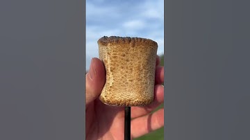 #reverse #satisfying #foryou #marshmallow #food #satisfyingreverse