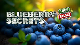 Blueberry pH Secrets