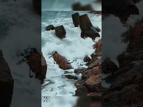 مكملناش تامر عاشور My Voice غناء Alexandria Trending Youtube Shorts Nostalgia 2014 Like 