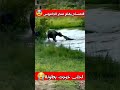 قلع له سن العقل وزغطه 