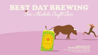 What You Can Do While Drinking A Great NA Beer | Best Day Brewing | Animated Short