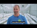 GreenBroz Cultivator Spotlight   Weed MD