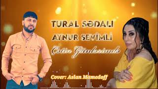 Tural Sədalı & Aynur Sevimli - Çətin Günlərimdə Resimi