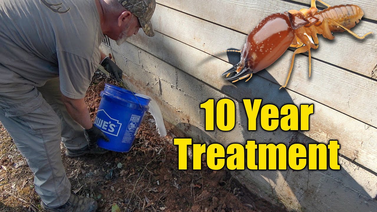 DIY Home Termite Treatment - Long Lasting