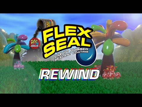 youtube-rewind-2019:-flex-seal®-edition