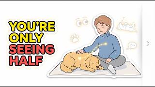 These Dog Habits Only Appear When Life Is Truly Good ( Part 1 )