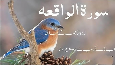 Surah Waqiah سورة الواقعة - Spellbinding Quran VIDEO with EXPLANATION