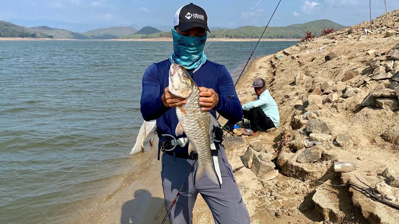 Lure Cá Ngựa Nam | Hồ Sông Quao | Cá 2kg Mà Nó Kéo Phê Lắm