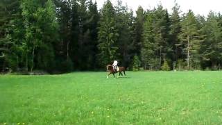 20100522 008.AVI
