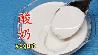 自制酸奶没有增稠剂 看完你就知道根本不需要买酸奶机 Homemade yogurt