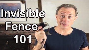 Do You Truly Know How Invisible Fences Work | Invisible Fence 101