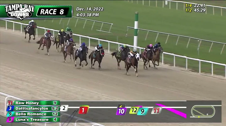 Tampa Bay Downs 12/14/2022 Replay Race 8