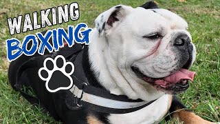 Famous DECEMBER 9, 2025: TIM TSZYU ARRIVES BACK IN AUSTRALIA  Profile