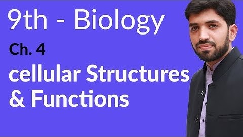 9th Class Biology | Chapter 4 | Cellular Structures and Functions