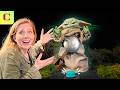 I Met Ultimate Grogu! How Hasbro's $599 Baby Yoda Star Wars Animatronic Works