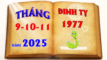 Tử Vi Đinh Tỵ 1977 Tháng 9 10 11 Âm Lịch Năm 2025 - Hé lộ cơ hội tài lộc