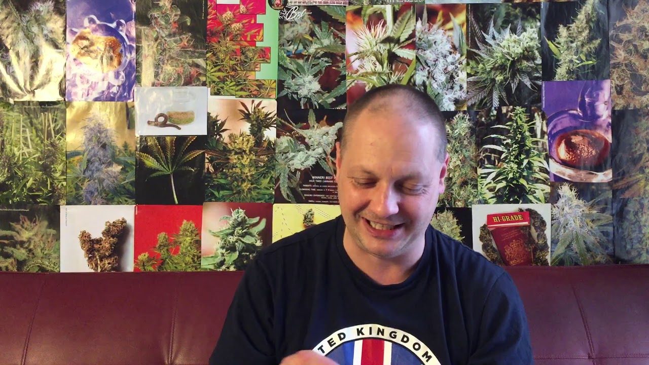 HASHISH HASHISH HASHISH BLONDE POLLEN HASH PREVIEW