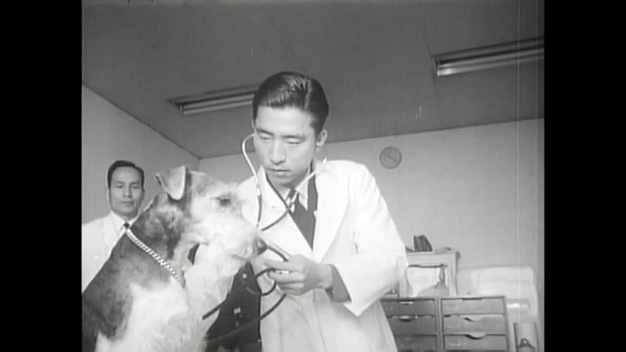 昭和30年代のニュース番組・「羽田空港」について