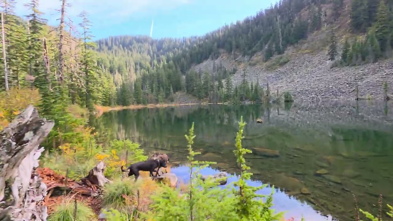 Scout Lake WA. One jet. 