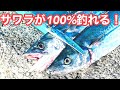 【サワラを確実に釣りたい人へ】周りが釣れなくても、自分だけ釣れるルアーがあります!!驚きの結果が出ました【ショアジギング】