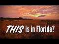 Best Campground In Florida