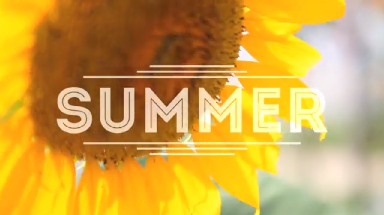 journalism internships This Video Captures Your Summer Feels Perfectly