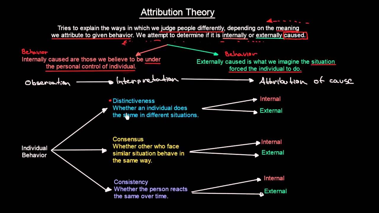 What is an attribute. Attribution theory. attribution. what is attribution.