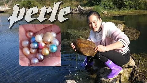 Pourquoi il y a des perles dans les coquillages ?