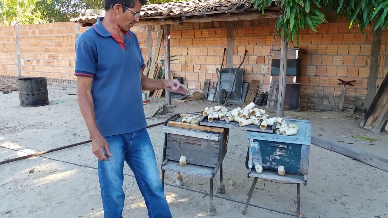 Como fazer um alimentador para abelha apis