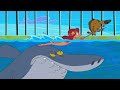 ZIG e SHARKO 🌊 A aula de natação 🌊 Português Brasil | Cartoon for Kids